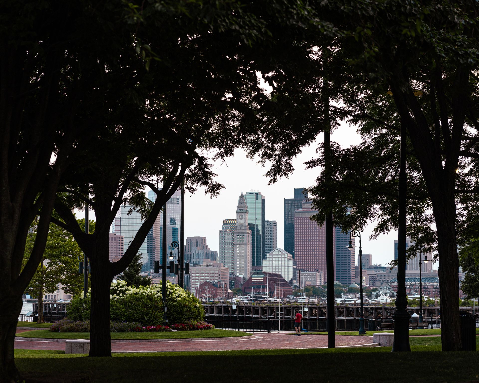 City skyline of tall towers seen through leafy trees at a waterfront park